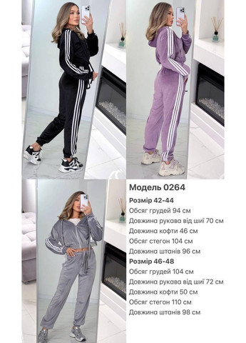 Жіночий велюровий спортивний костюм з лампасами No Brand (369544051)