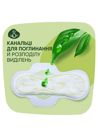 Гігієнічні прокладки Classic Maxi 16 шт Naturella (304430813)