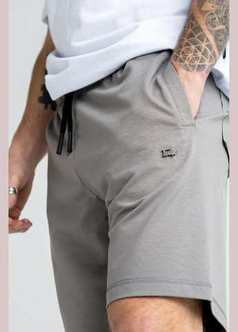 Мужские трикотажные шорты BASKET Серые Teamv (327369332)