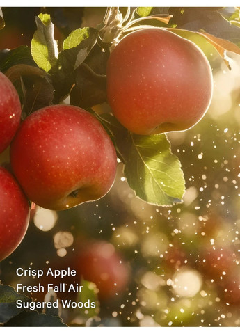 Парфюмированный спрей-мист Body Mist Fragrance аромат Dreamy Apple Orchard, 250 мл Victoria's Secret (346514638)