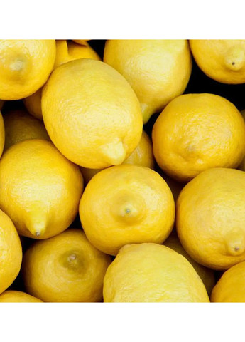 Парфум для чоловіків Mint Ocean 15 мл Yodeyma (368833800)