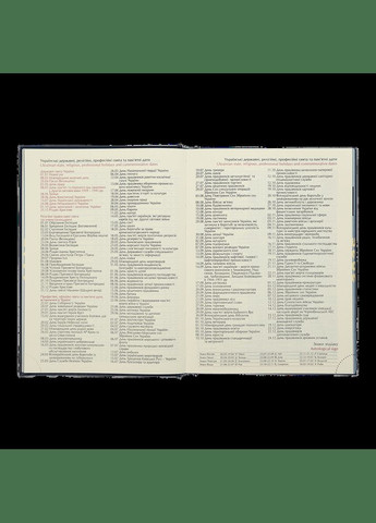 Щоденник датований 2025 STRONG BM.2129-04, A5, 336 стр. штучна шкіра/поролон зелений Buromax (328436372)