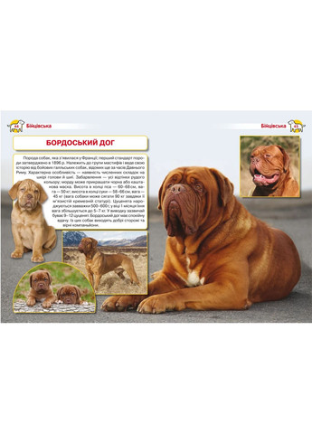 Собаки. Энциклопедия Кристал Бук (349839291)