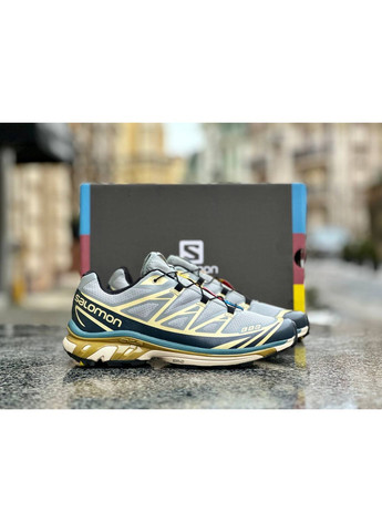 КРОСІВКИ ЖІНОЧІ SALOMON XT-6 ADV DOVER SILVER BEIGE САЛОМОН XT-6 No Brand бежеві демісезони (368868525)