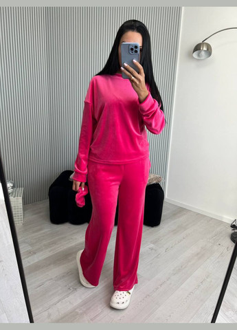 Велюровий костюм Liton (304234656)