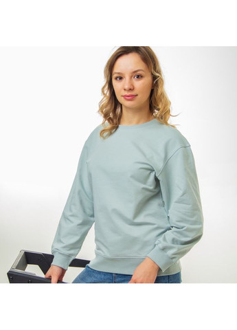 Оливковый свитшот (кофта - реглан) женский "стиль" черный, размер одежды m, цвет черный Badger (354697614)