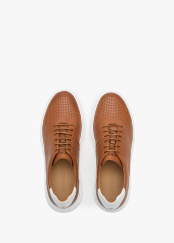 Світло-оранжеві кеди низькі, колір рудий Estro