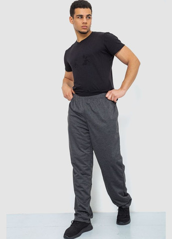 Темно-серые демисезонные брюки Ager