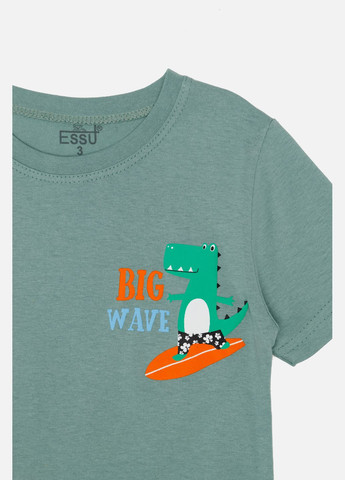 Оливковая летняя футболка с коротким рукавом для мальчика цвет оливковый цб-00243907 Essu