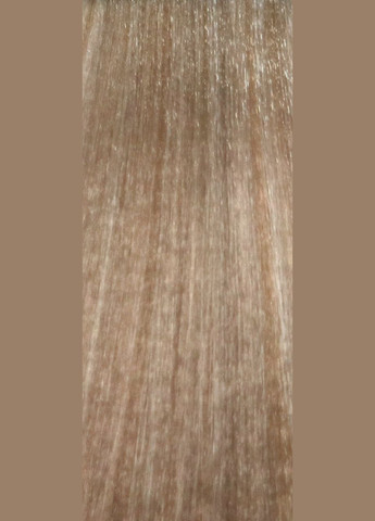 Безаммиачная крем-краска для волос EARTH COLOUR 11.01/HNA суперосветляющий натуральный пепельный, 100 Previa (298914881)