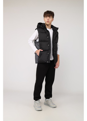 Жилет утепленный мужской цвет черный ЦБ-00286422 Yuki (365699736)