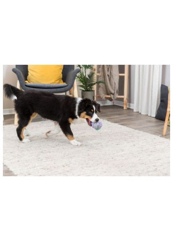 Іграшка для собак Junior Для цуценят М'яч жгутовий Текстиль 6 см (4011905328102) Trixie Junior Для цуценят М&apos;яч жгутовий Текстиль 6 см (366656052)