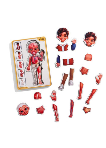 Дерев'яний пазл-вкладиш "Анатомія людини - хлопчик-2" (ПСД261) PSD261 будова тіла No Brand (329890210)