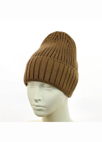 Шапка-бини с отворотом на флисе STD (309161082)