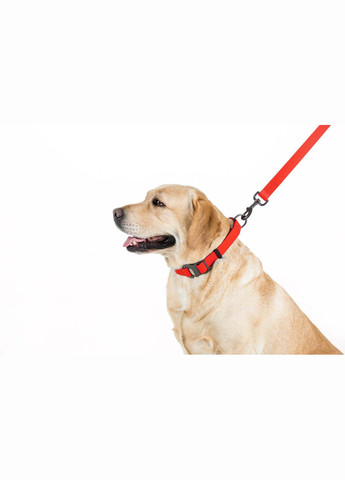 Повідець для собак водостійкий Waterproof Ш 25 мм Д 122 см червоний WAUDOG (322125361)