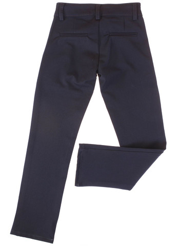 Синие демисезонные брюки A-yugi