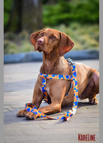 Шлей из нейлона с узором "SUNFLOWERS" и пластиковой пряжкой 25 мм А:500-680 мм, В:500-720 мм Kareline (339075339)