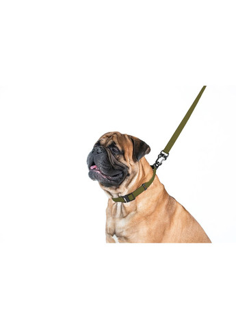 Поводок, Ш 25 мм, Дл 300 см, хаки Evolutor (364749979)