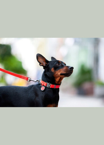 Ошейник для собак водостойкий Waterproof c QR-паспортом, металлическая пряжка-фастекс, Ш 20 мм, Дл 28-40 см красный WAUDOG (332879244)