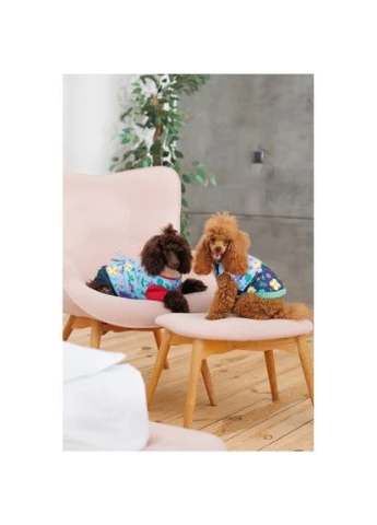 Костюм Alisa для дівчинки розмір S Pet Fashion (333020558)