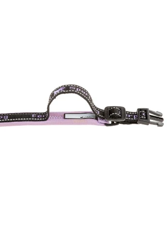 Ошейник для собак Sport Dog C25/55 нейлоновый фиолетовый 2.5х45-55 см 78004119 Ferplast (269454205)