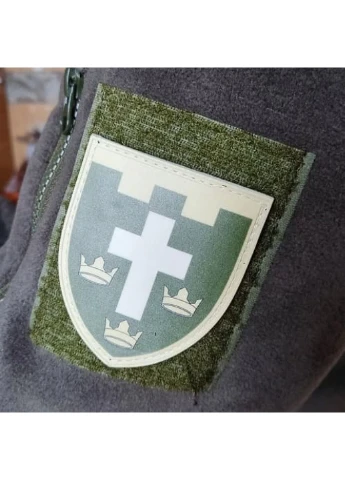 Нашивка ТрО 124 бригади ЗСУ Херсон польовий Dobroznak (377073798)