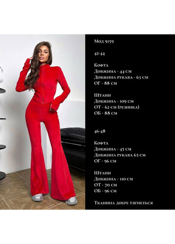 Жіночий велюровий костюм Україна (355889599)