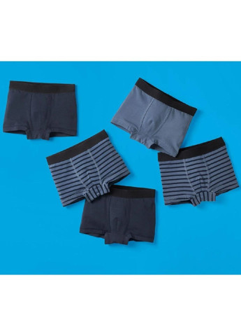 Трусы 5 шт Lupilu (366890337)