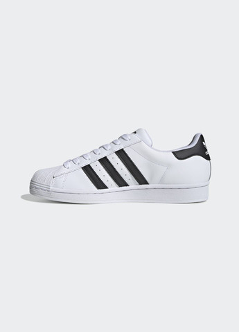 Кроссовки Superstar adidas белые всесезоны (272656906)