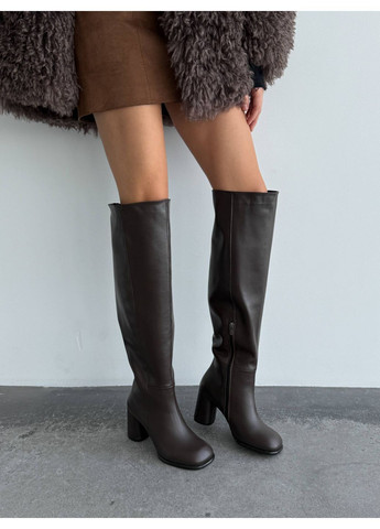 Коричневые осенние демисезонные ботфорты Helen