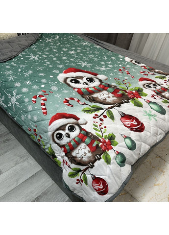 Детское покрывало-одеяло "Sweet Dreams" (Коттон + Teddy Fur). 150х210 см зеленого цвета с рисунком "Совы на снегу" No Brand (366561134)