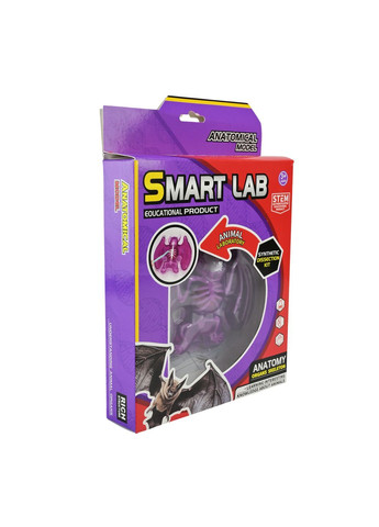 Біологічний набір для експериментів "Летюча миша" зі скелетом та внутрішніми органами Smart Lab - No Brand 804B (371926599)