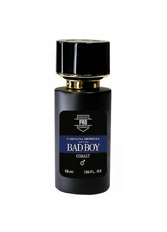 Устойчивый парфюм. Мужской. 58 мл No Brand (324610232)