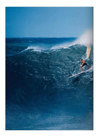Книга "Surfing". 1778–Today (9783836583282) Taschen (364654457)