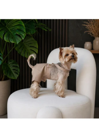 Шорти для собак Leo бежеві розмір M Pet Fashion (395729954)