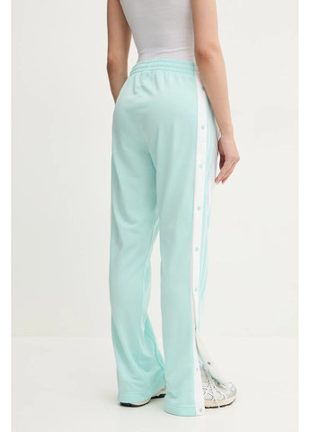 Спортивные штаны Adidas Originals (360916428)
