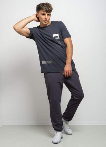 Штани чоловічі 344311 Power (301905599)