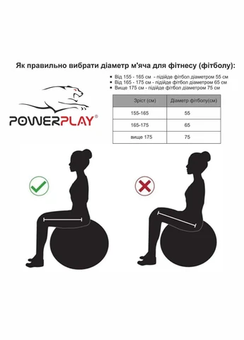 М'яч для фітнесу 4001 65 см, Blue із насосом PowerPlay (333994253)