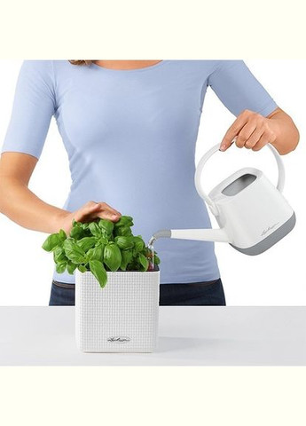 Комплект Green Wall Home Kit Color 48х6х14 см білий 13398 Lechuza (316626870)