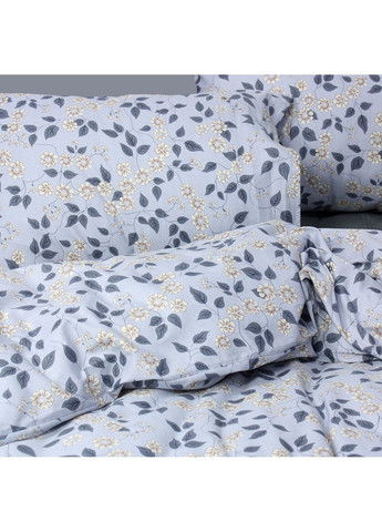 КПБ евро С0244 Еней-Плюс (314963142)