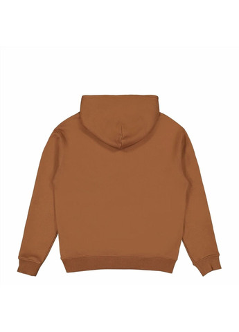 Худи мужские Wordmark Fleece Hoodie Brown Air Jordan (364662907)