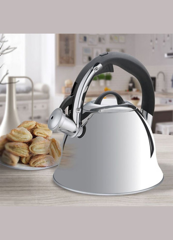 Чайник 2,2л 1320-S-MR Maestro (317302625)