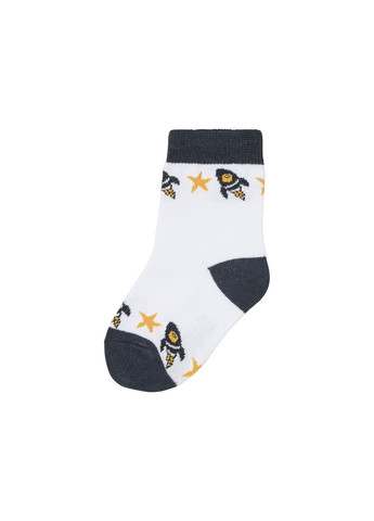 Шкарпетки 7 пар для хлопчика LIDL 364961-1 Різнобарвний Lupilu (292549817)