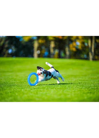 Кольцо для апортировки PitchDog20, диаметр, голубой PitchDog (322002152)