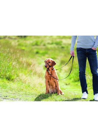 Шлея тренувальна для собак L-XL чорна Trixie (331859461)