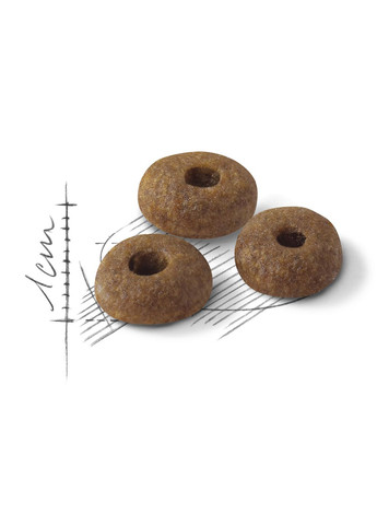 Сухий корм для дорослих котів від 1 року перебування на вулиці Fit 10 кг 3182550702249 702249 Royal Canin (357492428)