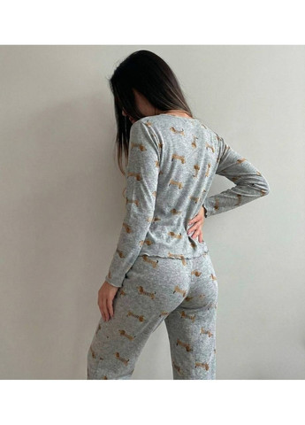 Сіра всесезон жіноча трикотажна піжама кофта + брюки Гермес