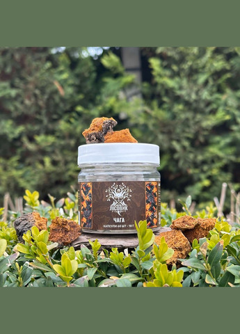 Грибы, Чага березовая, капсулы 60 шт по 0.3 г Лісовик (334292956)