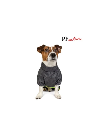 Комбінезон для собак Rain, сірий 6XL Pet Fashion (402785343)