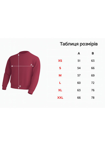 Світшот на флісі унісекс з індивідуальним принтом | Друк фото, тексту, зображення JHK (361305830)